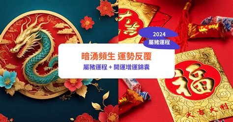 2024肖豬|屬豬2024運勢丨屬豬增運顏色、開運飾物、犯太歲化解、年份